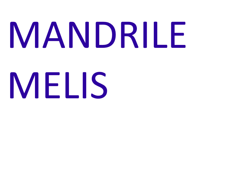 Mandrile Melis